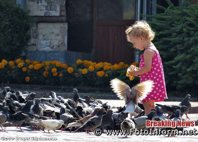 Кропивницький: у центрі міста містяни годують голубів